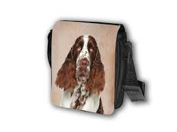 Image result for anglický špringršpaněl