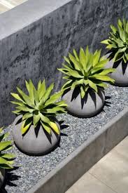 100 Gartengestaltungsideen Und Gartentipps Fur Anfanger Garten Gartengestaltungsideen Wustenlandschaft