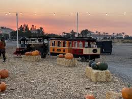 Check spelling or type a new query. Seasonal Adventures Pumpkin Patch And Christmas Trees 120 Photos 70 Reviews Pumpkin Patches 207 W Los Angeles Ave Rancho Cucamonga Ca United States Phone Number Yelp