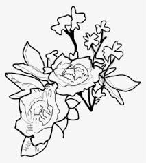 Read online books for free new release and bestseller Report Abuse Shawn Mendes Flowers Drawing Png Image Transparent Png Free Download On Seekpng