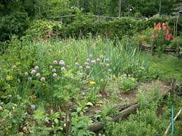 5 Tips of a Ruthlessly Positive Life