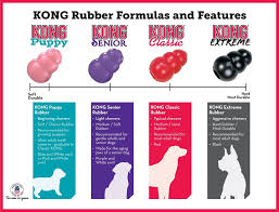 Perfect Hound Kong Dog Toy User Guide Everything From