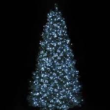 Shop expertly designed fairy lights from pottery barn teen®. Multi Action Timer Christmas Tree Led Fairy Lights