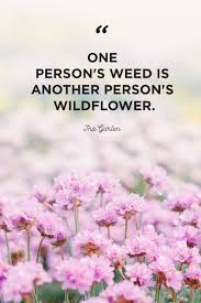 These are the best examples of wildflower quotes on poetrysoup. 48 Inspirational Flower Quotes Cute Flower Sayings About Life And Love