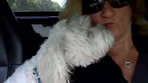 Fundraiser for Henrietta Hank Watson by Julie Cherry : Help Hank Rebuild  After Devastating Losses