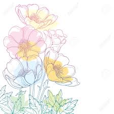 We did not find results for: Hand Drawing Corner Bouquet With Outline Anemone Flower Or Windflower Royalty Free Cliparts Vectors And Stock Illustration Image 106323712