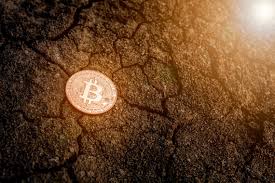 It is one of the best mining software that offers a. How To Mine Bitcoin Btc With Eos The Cryptonomist