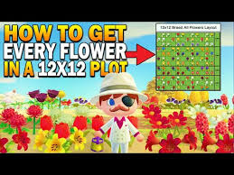 How To Get Every Hybrid Flower In A 12x12 Area Datamined Animal Crossing New Horizons Flower Guide Youtub In 2020 Animal Crossing Flower Guide Animal Crossing Guide