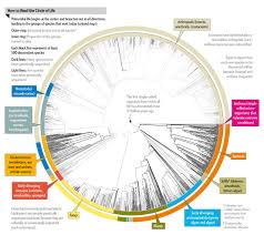 All 2 3 Million Species Are Mapped Into A Single Circle Of Life Scientific American Circle Of Life Life Science