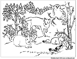Children can learn all about the amazing creatures that thrive in the worlds a cute arctic fox coloring page and learning sheet. Pin On Grab The Crayons