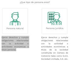 La dian dirección de impuestos y aduanas nacionales presenta la plataforma para la consulta de rut o el registro único tributario al que hacemos presentes ya que se. Como Tramitar El Rut Por Primera Vez En 2021 Guia Completa