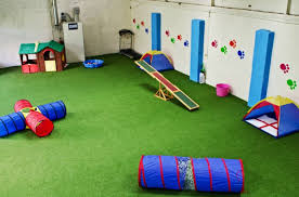 The Unreal Grass Company Dog Playground Indoor Dog Park Dog Daycare