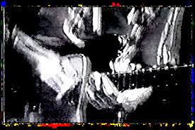 deerblog | creative director - deer god productions | filming | video  editing | graphic design