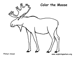 Computer mouse coloring pages for kids give appealing colors to grow the skills of coloring in kids and remembering their names. Moose Coloring Page