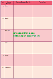 Kunci jawaban kelas 5 halaman 11. Lengkap Kunci Jawaban Kelas 5 Tema 1 Subtema 1 Pembelajaran 2 Simple News Kunci Jawaban Lengkap Terbaru