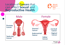 The fact that less than five per cent of women in kenya know. Cancers That Can Affect Your Sexual And Reproductive Health Share Net Bangladesh