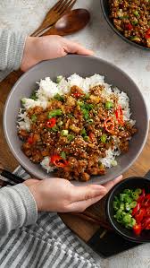 In a small bowl, mix the soy sauce, brown sugar, onion, ginger, garlic and red pepper flakes together. Korean Beef Bowl Khin S Kitchen Asian Ground Beef Recipes