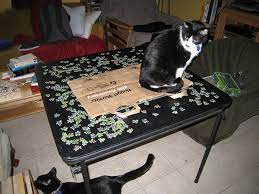 Do You Like Puzzles And Games So Do Cats For Sabotage Cats Puzzles Stuff To Do