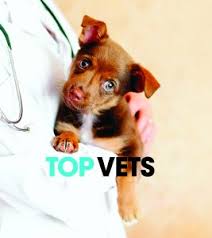 Top Vets : Orlando Family Magazine