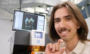 Giant prehistoric kangaroos preferred to 'chill at home' and didn't like to  go out much, scientists say