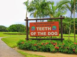 Tipos de casas en miami. Updated 2021 Villa De Los Suenos Casa De Campo Holiday Rental In La Romana Tripadvisor