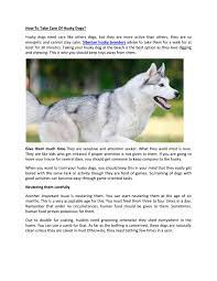 Taking Care Of A Siberian Husky Flash Sales, 56% Off |  Www.lebienvieillir.com