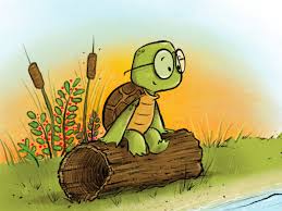 Scott Soeder • Children's Book Author + Illustrator