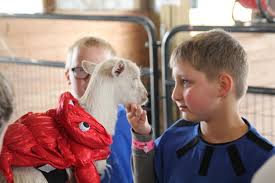 Fun-filled fall at Rader Family Farms wraps up Sunday