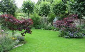 Back Garden In Dublin 4 Howbert Mays Garden Centre May Garden Back Gardens Outdoor Gardens