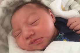 Fundraiser by Jenifer Alcorn : BABY SUMMER