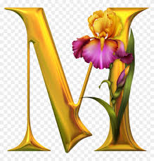 See more ideas about stylish alphabets, alphabet wallpaper, m letter design. Beautiful Images Of Alphabet M Free Transparent Png Clipart Images Download