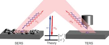 Scopri ricette, idee per la casa, consigli di stile e altre idee da provare. Theoretical Modeling Of Surface And Tip Enhanced Raman Spectroscopies Hu 2017 Wires Computational Molecular Science Wiley Online Library