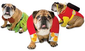 Funny Pet Costumes Groupon Goods
