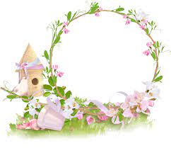 نتيجة بحث الصور عن براويز ورود للتصميم watercolor flowers paintings flower painting christmas globes