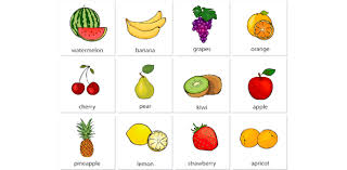 They contain fiber, which helps keep your digestive system healthy. Nutrition Vocabulary Quiz Questions Proprofs Quiz