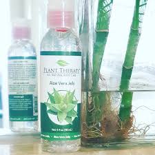 New The 10 Best Home Decor With Pictures الو فيرا جل الصبار من المنتجات الأساسية الي تدخل فالتجميل Aloe Vera Jelly Plant Therapy Natural Body Care