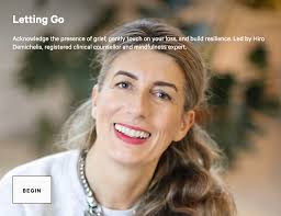 The Lab of Meditation