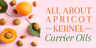 Apricot oil contains vitamin e that may help in the treatment of hair loss. Apricot Kernel Oil A Light Quick Absorbing Oil Skin Hair Care