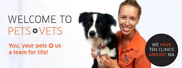 974 albany highway, east victoria park (9,396.92 mi) perth, wa, australia, wa 6101 Pets And Vets Wa Home Facebook