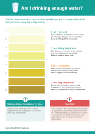 urine colour chart healthdirect