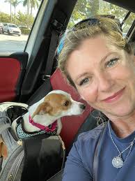 ❤️ Chiweenie Rescued ❤️