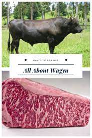 17 Wagyu Pleasures Ideas Wagyu Wagyu Beef Kobe Beef