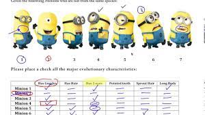 Ap Biology Cladogram Practice With Minions And Related Worksheet Https Docs Google Com A Whbschools Org Viewer A V Pid Ap Biology Biology Teaching Biology