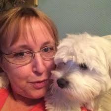 🐴 Les huit mini chevaux américains ont fait la découverte du Paddock  Paradise, ce territoire aménagé pour correspondre à leur bien-être et à  celui des Pura Raza Espagñola et, bientôt, des ânes