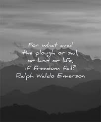 Thinkexist.com quotations is your source for famous quotes from thousands of famous people. 155 Freedom Quotes