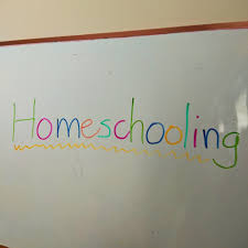 Homeschooling allows you to work with your kid at any time. Free Online Homeschool Resources Gadsventure