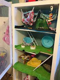 Rats Need Hammocks And Fleece Blankets They Need Much Room Or Many Levels Rat Cage Pet Rats Pet Rat Cages