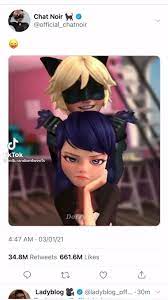 Pin By Miraculous Ladybug On Tik Toks Video In 2021 Miraculous Ladybug Funny Miraculous Ladybug Anime Miraculous Characters