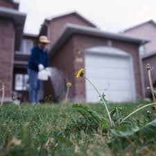 We have over 23 years of experience in providing quality driven pest control services to residential and commercial properties in south texas. Non Toxic Pest Control The Best Way To Control Pests