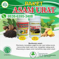 Pin On Obat Asam Urat